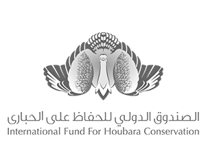 houbara